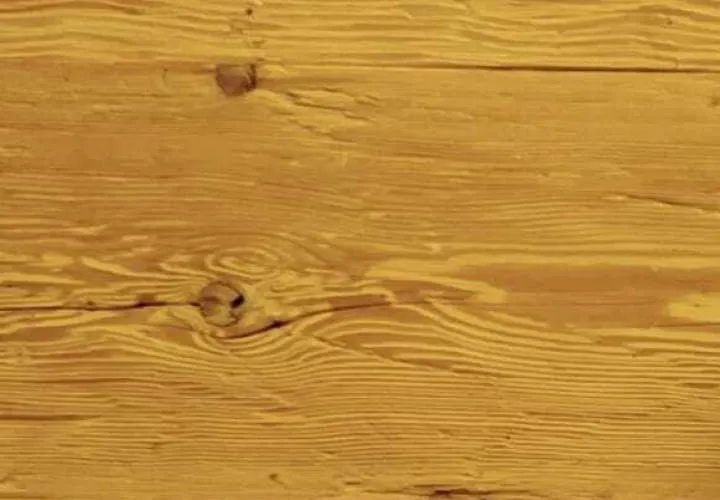 Laura-Aichhorn Laura-Aichhorn